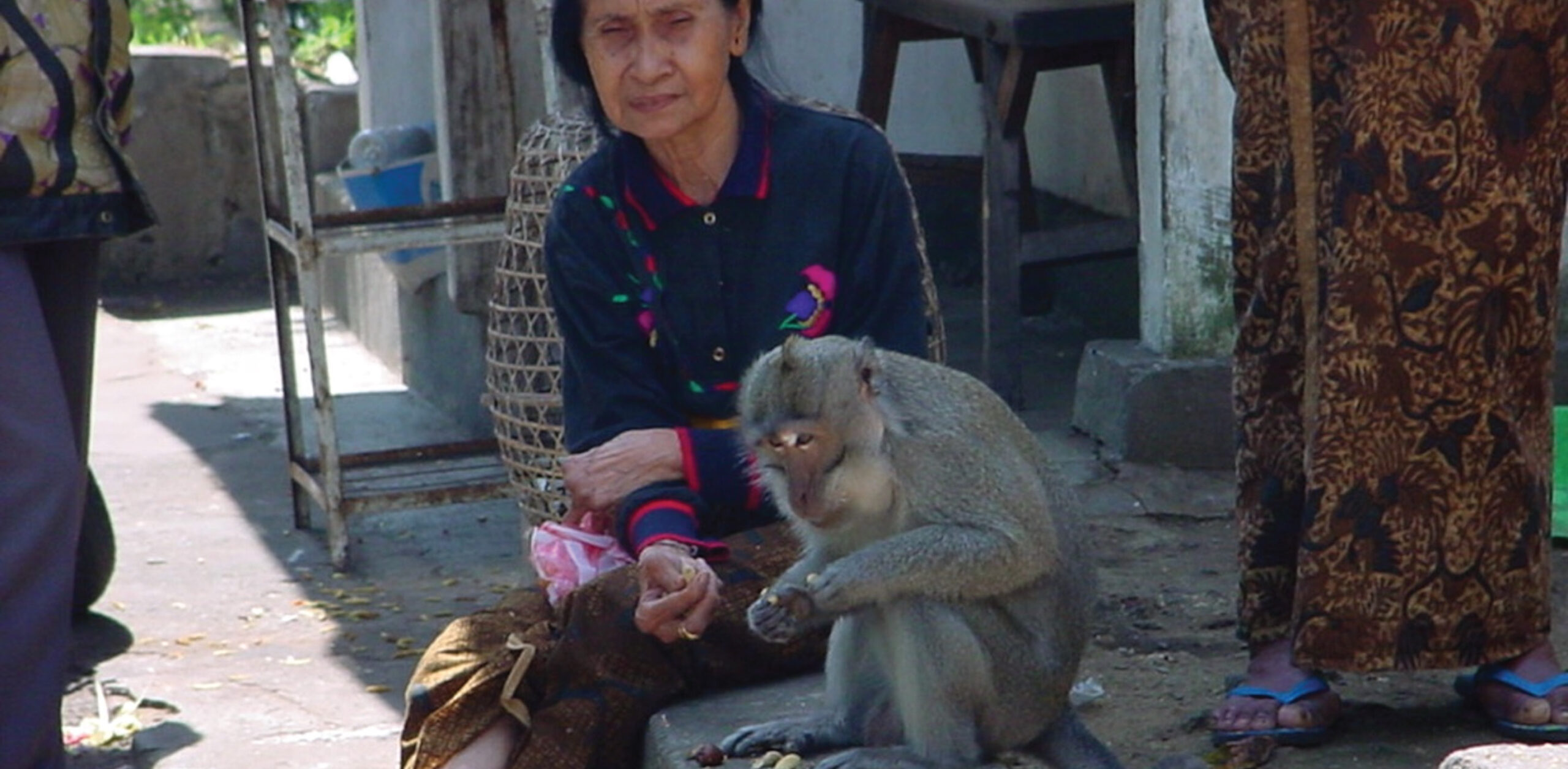 A person sitting next to a monkey