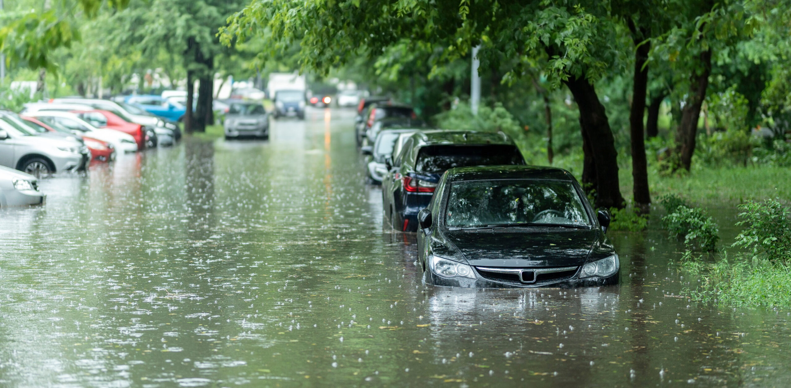 Flooded cars on the street of the city